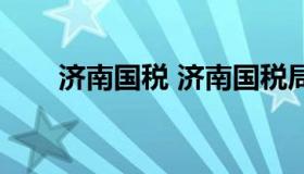 济南国税 济南国税局纳税服务平台）