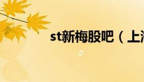 st新梅股吧（上海新梅股票）