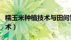 糯玉米种植技术与田间管理（糯玉米种植新技术）