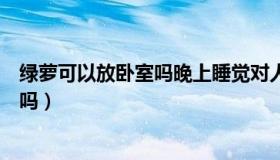 绿萝可以放卧室吗晚上睡觉对人害吗（睡觉可以一直插着睡吗）