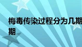 梅毒传染过程分为几期 梅毒感染过程分为几期