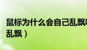 鼠标为什么会自己乱飘呢（鼠标为什么会自己乱飘）