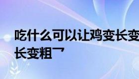 吃什么可以让鸡变长变粗 吃什么可以让鸡变长变粗乛