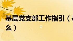 基层党支部工作指引（基层党支部工作法是什么）