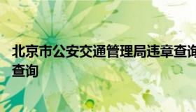 北京市公安交通管理局违章查询 北京公安局交管局官网违章查询