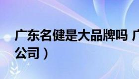 广东名健是大品牌吗 广东名健厨卫电器有限公司）