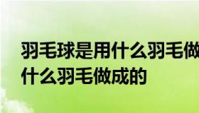 羽毛球是用什么羽毛做的 羽毛球大多都是用什么羽毛做成的