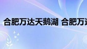 合肥万达天鹅湖 合肥万达天鹅湖店客服电话