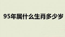 95年属什么生肖多少岁（95年属什么生肖）