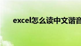 excel怎么读中文谐音（excel怎么读）