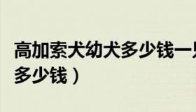 高加索犬幼犬多少钱一只纯种（高加索犬幼犬多少钱）