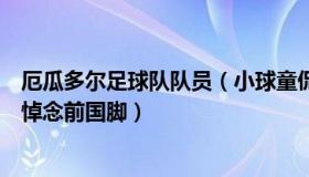 厄瓜多尔足球队队员（小球童侃体坛：厄瓜多尔球员进球后悼念前国脚）