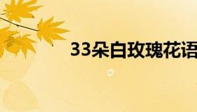 33朵白玫瑰花语 99朵玫瑰）