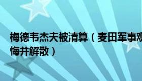 梅德韦杰夫被清算（麦田军事观察：梅德韦杰夫称北约应忏悔并解散）