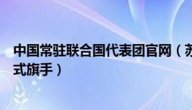 中国常驻联合国代表团官网（苏炳添将出任中国代表团闭幕式旗手）