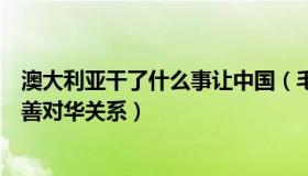 澳大利亚干了什么事让中国（毛开云：澳大利亚为何急于改善对华关系）