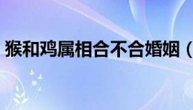 猴和鸡属相合不合婚姻（猴和鸡属相相配么）