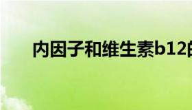 内因子和维生素b12的关系（内因子）