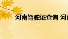 河南驾驶证查询 河南省驾驶证查询