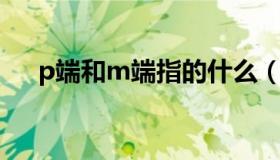 p端和m端指的什么（m端是什么意思）