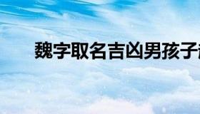 魏字取名吉凶男孩子起名 魏字取名字