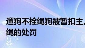 遛狗不拴绳狗被暂扣主人大哭（现在遛狗不系绳的处罚