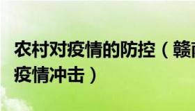 农村对疫情的防控（赣南村意：农村如何应对疫情冲击）