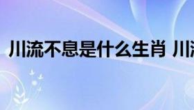 川流不息是什么生肖 川流不息是指哪个生肖