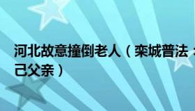 河北故意撞倒老人（栾城普法：男子撞死老人现场谎称是自己父亲）