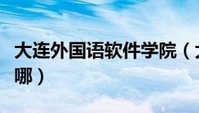 大连外国语软件学院（大连外国语软件学院在哪）