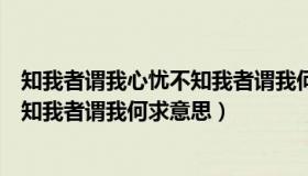 知我者谓我心忧不知我者谓我何求解释（知我者谓我心忧不知我者谓我何求意思）