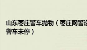 山东枣庄警车抛物（枣庄网警巡查执法：警方通报群众倒地警车未停）