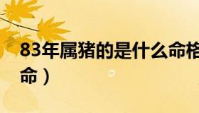 83年属猪的是什么命格（83年属猪的是什么命）