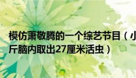 模仿萧敬腾的一个综艺节目（小溪畅流创始人：女子暴瘦20斤脑内取出27厘米活虫）