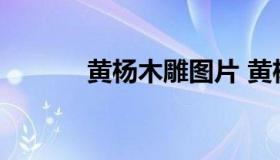 黄杨木雕图片 黄杨木雕刻图片