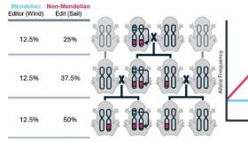 新的基因编辑技术可以以更低的风险改变野生种群