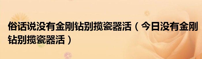 没有金刚钻别揽瓷器活下一句是什么意思 没有金刚钻别揽瓷器活的同义词