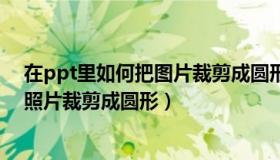 在ppt里如何把图片裁剪成圆形（实时快讯在ppt上怎样把照片裁剪成圆形）