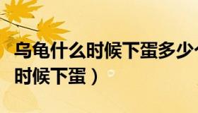 乌龟什么时候下蛋多少个（实时快讯乌龟什么时候下蛋）