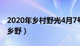 2020年乡村野光4月7号视频（实时快讯村光乡野）