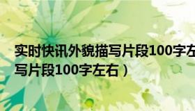 实时快讯外貌描写片段100字左右怎么写（实时快讯外貌描写片段100字左右）