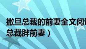 撒旦总裁的前妻全文阅读全文（实时快讯撒旦总裁胖前妻）