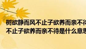 树欲静而风不止子欲养而亲不待出处（实时快讯树欲静而风不止子欲养而亲不待是什么意思）