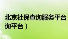 北京社保查询服务平台（实时快讯北京社保查询平台）