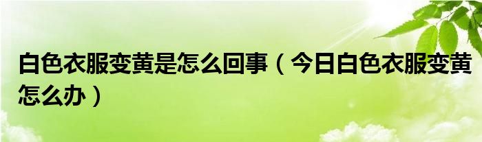 白色衣服变黄了怎么处理 白色衣服变黄了怎么办,要怎么洗