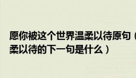 愿你被这个世界温柔以待原句（实时快讯愿你被这个世界温柔以待的下一句是什么）