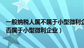 一般纳税人属不属于小型微利企业（实时快讯一般纳税人是否属于小型微利企业）