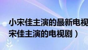 小宋佳主演的最新电视剧2020（实时快讯小宋佳主演的电视剧）