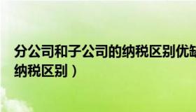 分公司和子公司的纳税区别优缺点（实时快讯分公司子公司纳税区别）