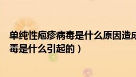 单纯性疱疹病毒是什么原因造成的（实时快讯单纯性疱疹病毒是什么引起的）